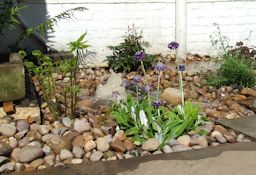 Pebble filled beds with feature planting requiring virtually no maintenance